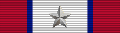 Distinguished Service Medal (Argent)